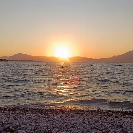 Willa Panthea Stone Ejo