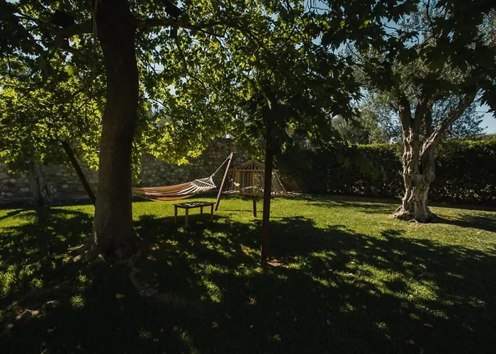 Panthea Stone * Aegium