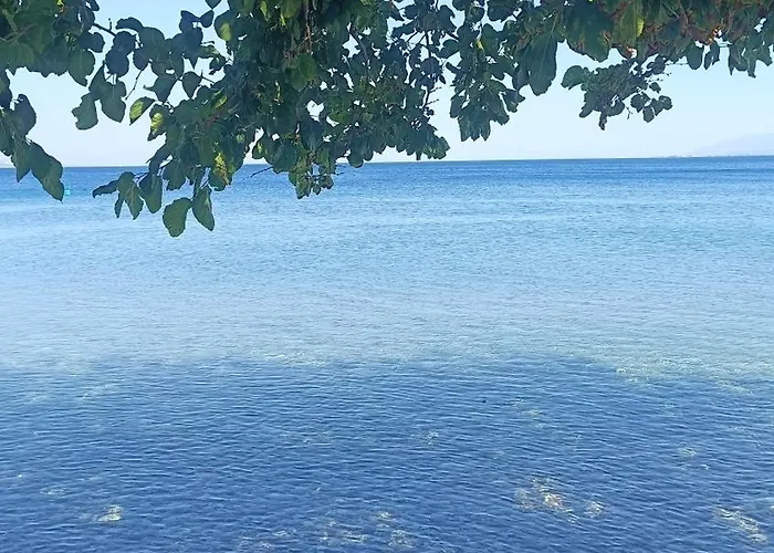 Panthea Stone * Egio